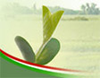 AHPB - Association of Hungarian Plant Breeders - Ассоциация венгерских растениеводов