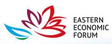 IX  Восточный экономический форум (ВЭФ) 2024